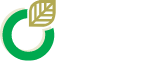 The Welllness Lab